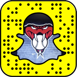 Arizona Diamondbacks